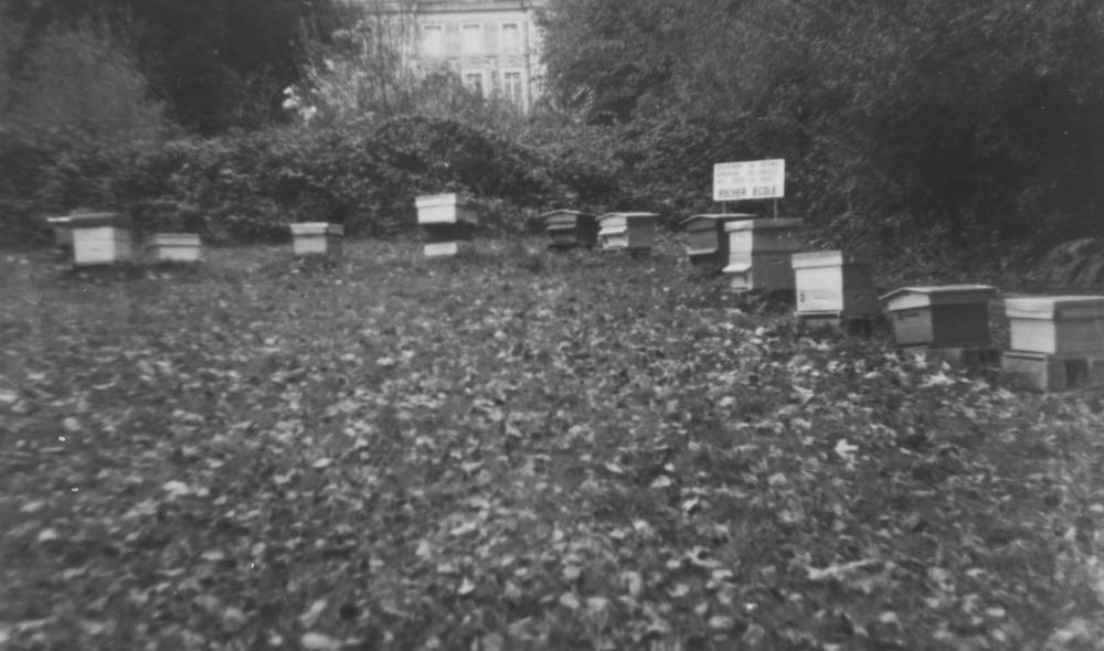 Le rucher de l'école ménagère de Rohannec'h © Archives départementales des Côtes d'Armor, 72Fi_9_027_1